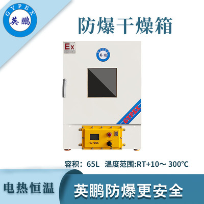 英鹏防爆立式恒温干燥箱-65L