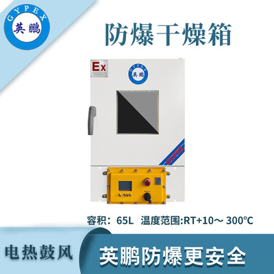 英鹏防爆立式鼓风干燥箱-65L