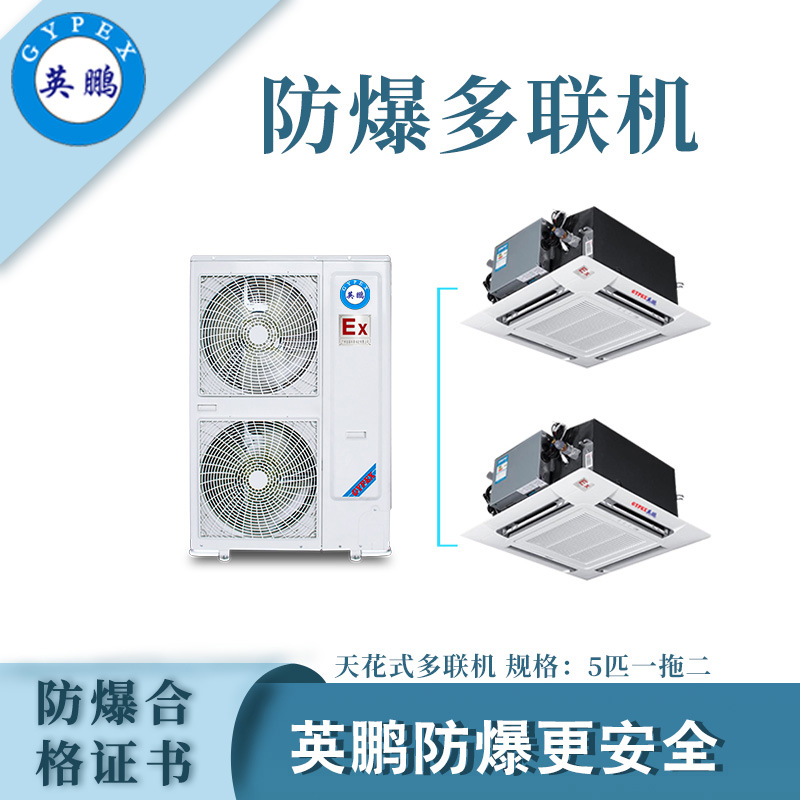 工业天花式防爆多联机-五匹一拖二