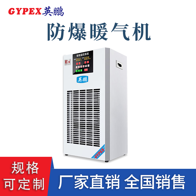 ?????????????????YPNF-20Ex