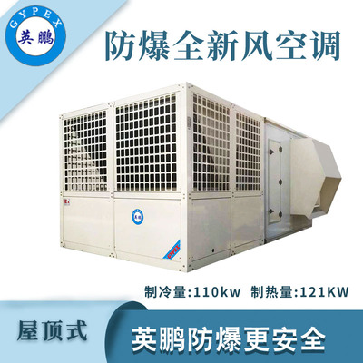 英鹏防爆全新风屋顶式空调机-110KW