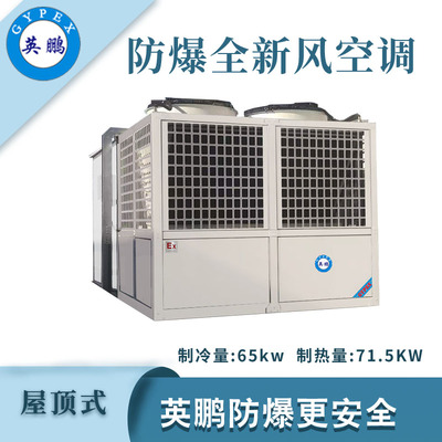 英鹏防爆全新风屋顶式空调机-65KW