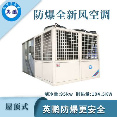 英鹏防爆全新风屋顶式空调机-95KW