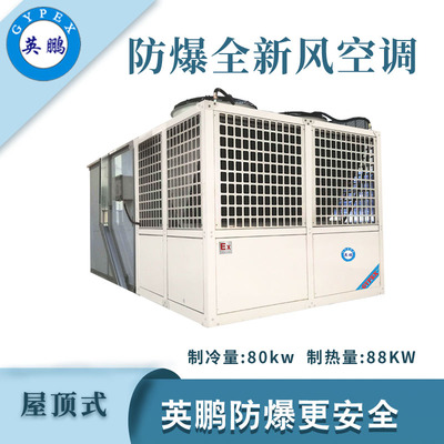 英鹏防爆全新风屋顶式空调机-80KW