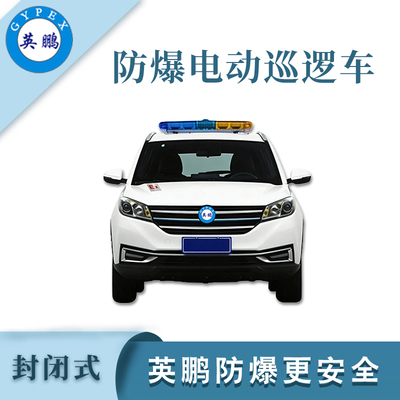 5座封闭式防爆电动巡逻车