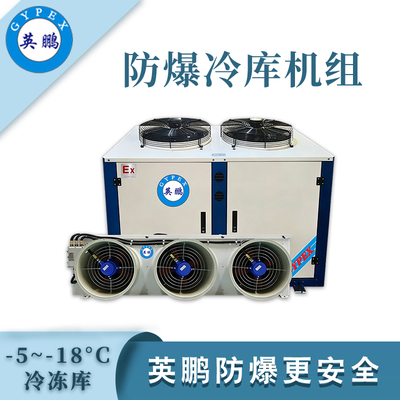 英鹏防爆冷库机组-冷冻库12p