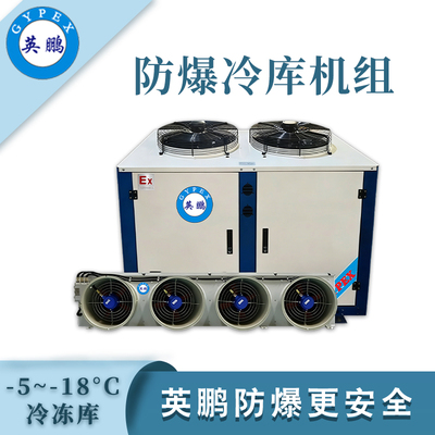 英鹏防爆冷库机组-冷冻库20p