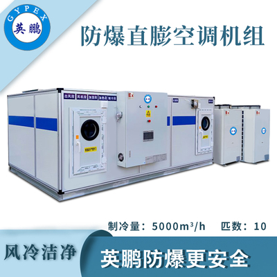英鹏防爆风冷直膨洁净空调机组-10匹