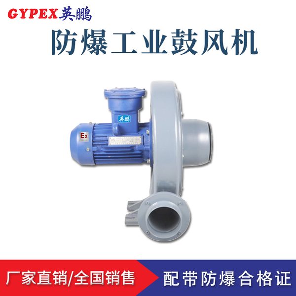 防爆中壓鼓風機2.jpg
