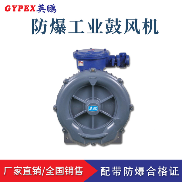隔爆型環形鼓風機.jpg