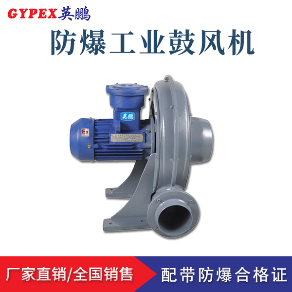 防爆中壓鼓風機2.jpg