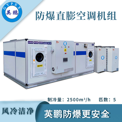 英鹏防爆风冷直膨洁净空调机组-5匹