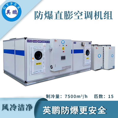英鹏防爆风冷直膨洁净空调机组-15匹