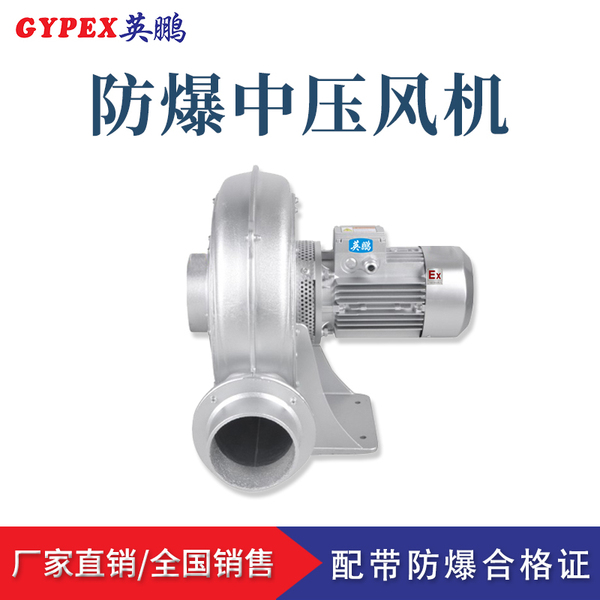 防爆直葉鼓風機.jpg