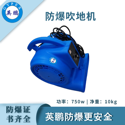 英鹏防爆吹地机-750W
