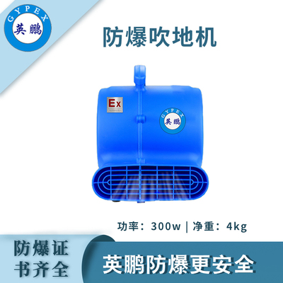 英鹏防爆吹地机-300W