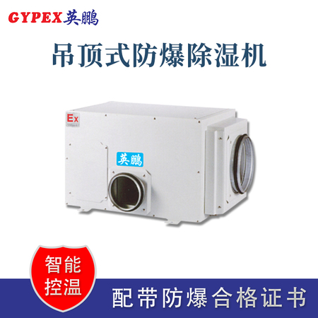 吊頂式防爆除濕機.jpg