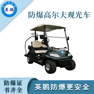 2座高尔夫防爆观光车