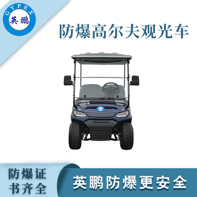 2座防爆高尔夫观光车