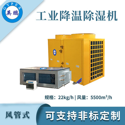 英鹏工业降温除湿机-22kg/h