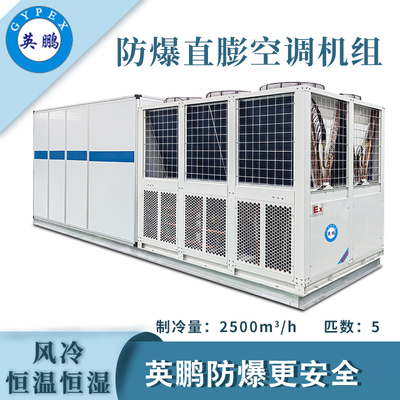 英鹏防爆风冷直膨恒温恒湿空调机组-5匹
